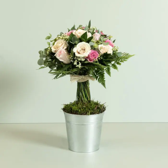 Albero di rose fresche