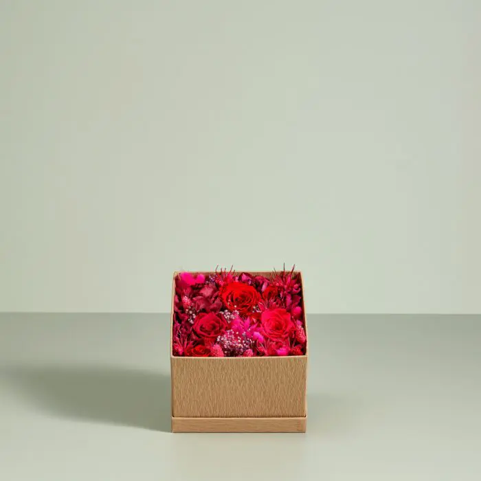 COFFRET RRF T2
