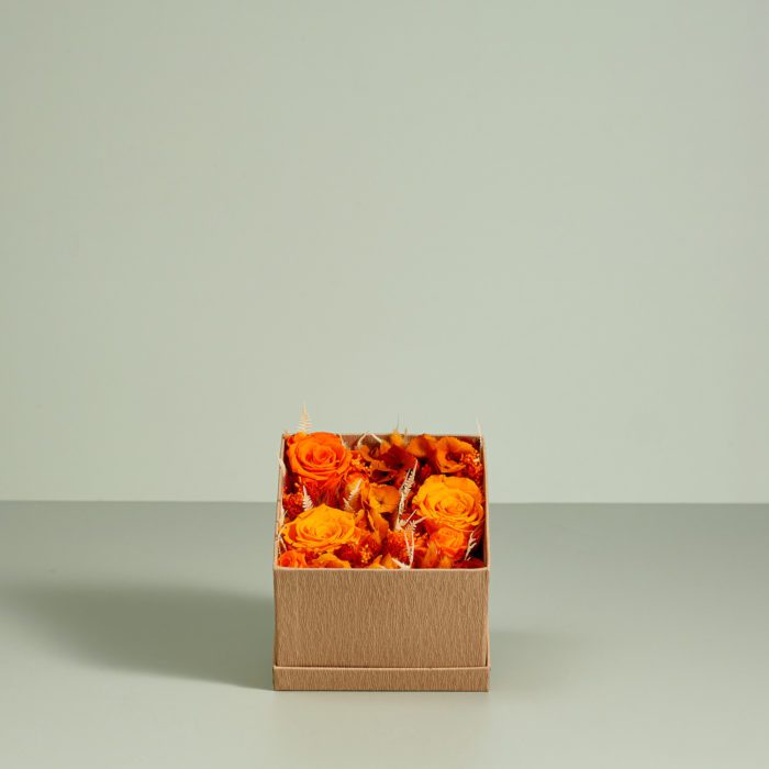 Coffret di rose stabilizzate